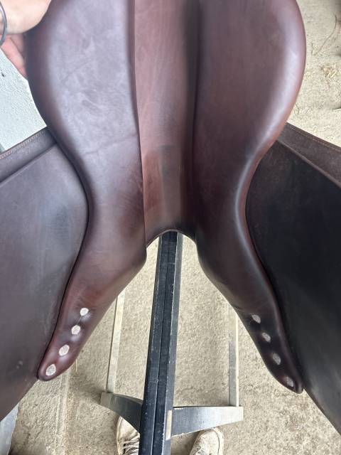 Selle Bruno Delgrange Piléa de 2023