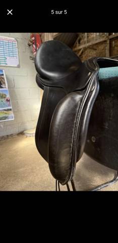 Selle Childeric 