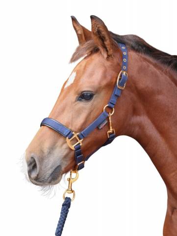 Licol top line poulain - Kerbl - Nylon doubl&eacute; cuir synth&eacute;tique