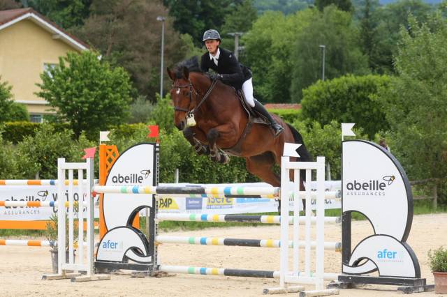 Hongre 7 ans CSO 
