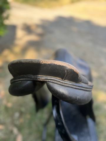 Selle Terry’s Élite 17,5