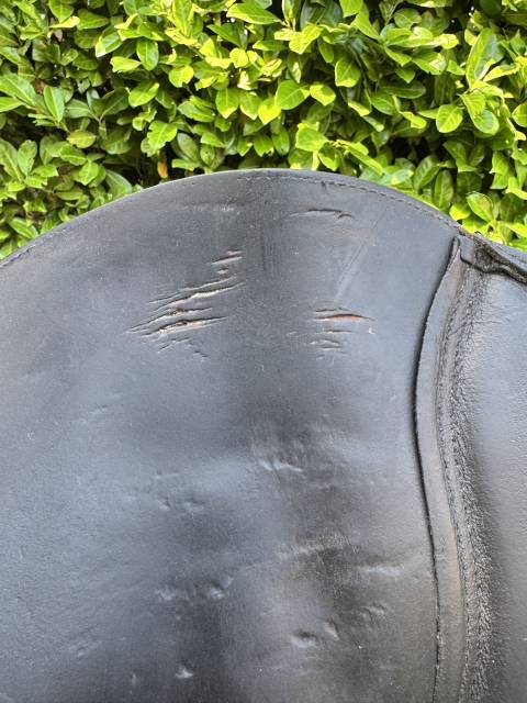 Selle Terry’s Élite 17,5