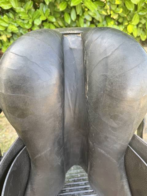 Selle Terry’s Élite 17,5