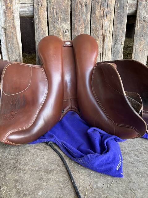 Selle bates Caprilli