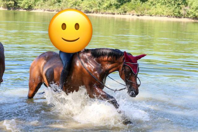 Cheval