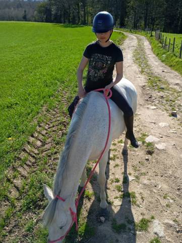 Poney de sport/famille 