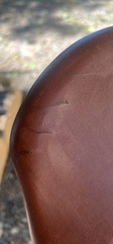 Vend selle forestier courcom