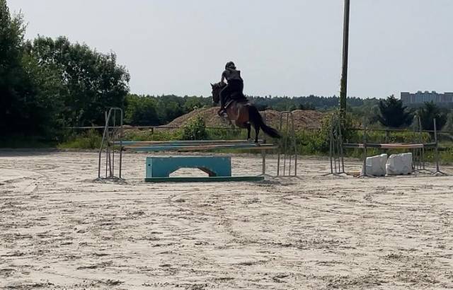 Mâle de 3 ans X Movie Star Tilia