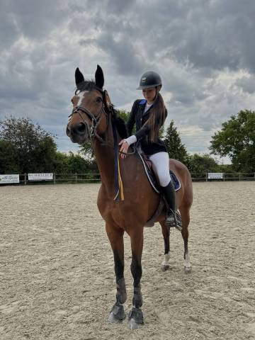 Top jument pour concours amateurs