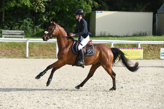5 ans hongre WBP