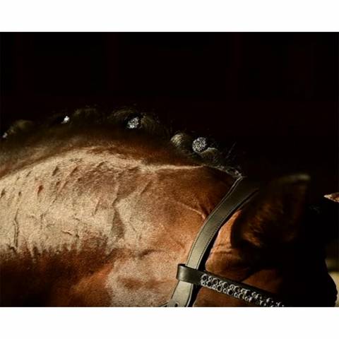 Quick Knot Jewel, clips pions en cristaux Swarovski Medley 12 pièces - Hes Tec