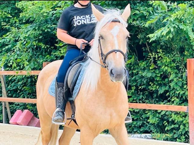cheval de loisir 100% fiable