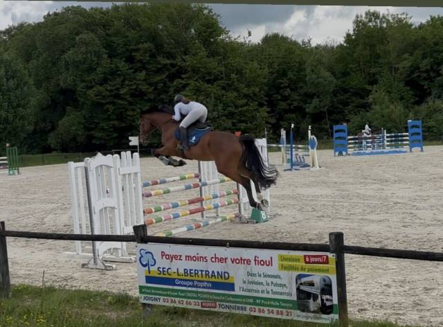 Koldplay D’unartani, 5 ans 