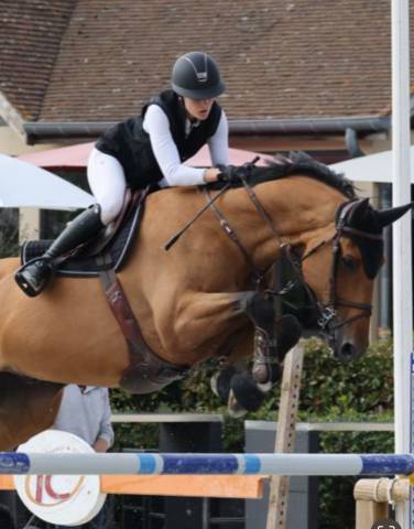 Hongre de 8 ans pour sauter 140 et + ou Amateur Élite 