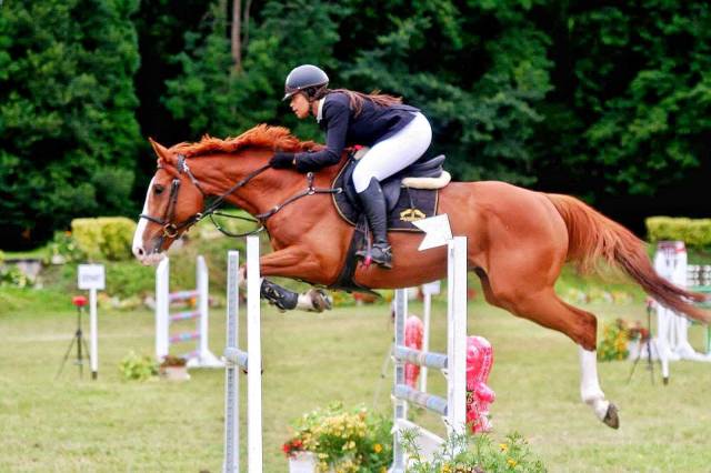 Hongre SF - Gagnant 120cm
