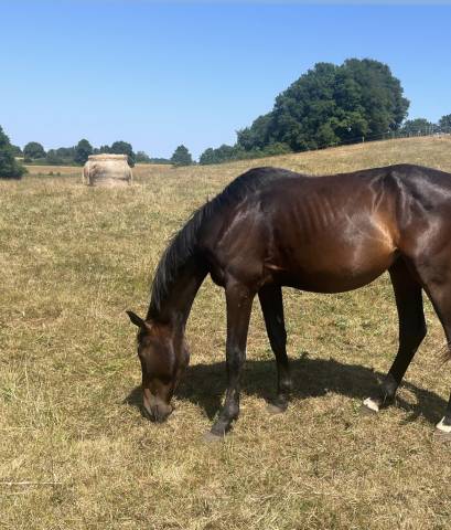 SF de 3 ans par  VICTORHUGO BOISMARGOT
