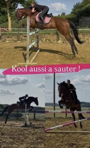 A vendre kool negociation possible si raisonnable