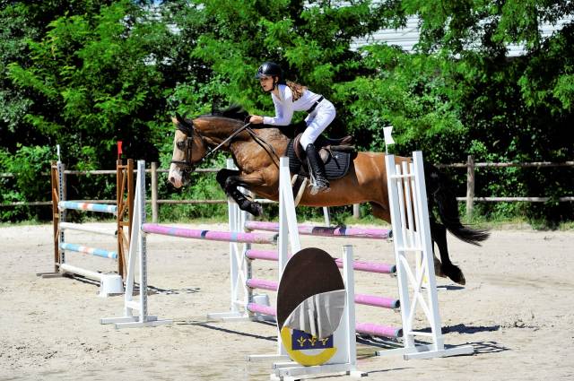 A louer ponette D pour poney Élite/ As 2