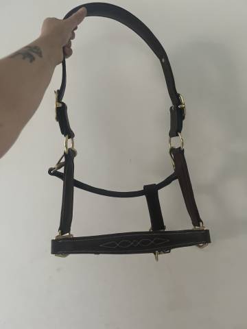 Licol en cuir marron 