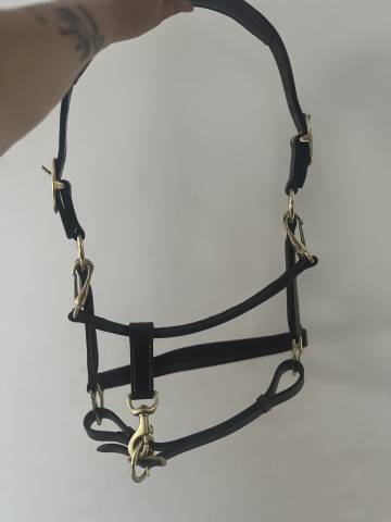 Licol en cuir marron 