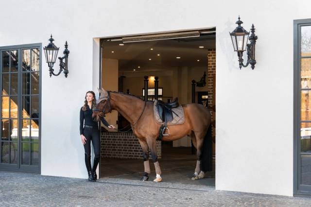 Tapis de selle Glossy Bit DRESSAGE PLATINUM 2025 - Eskadron