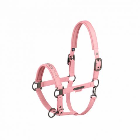 Licol Faux Leather Double Pin PLATINUM 2025 - Eskadron - Similicuir élégant