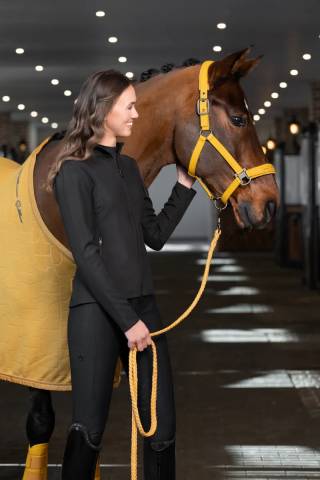 Licol Faux Leather Double Pin PLATINUM 2025 - Eskadron - Similicuir élégant