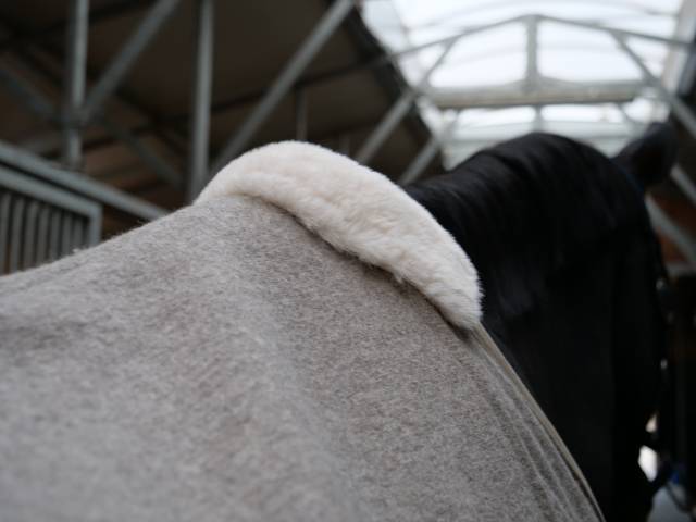 100% undyed natural sheep wool rug PURE by EQUITECT.