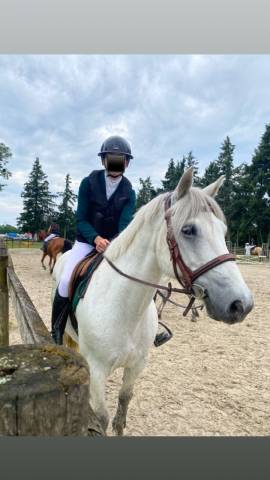 Poney à louer 