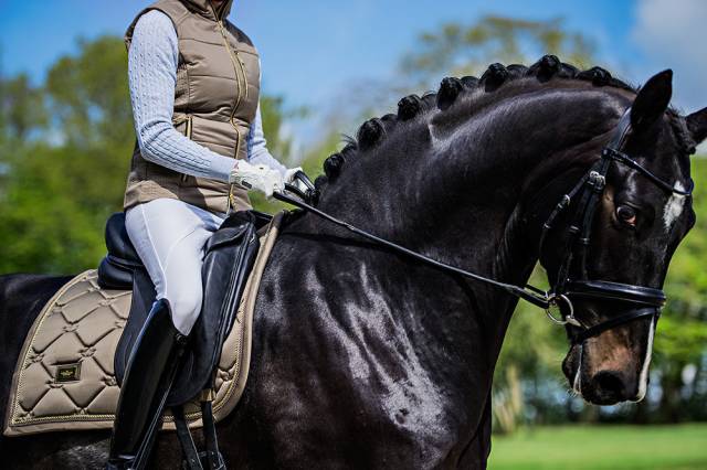 Tapis de selle Champagne DRESSAGE - Equestrian Stockholm