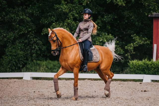 Tapis de selle Champagne DRESSAGE - Equestrian Stockholm