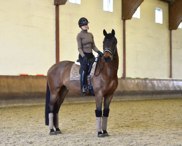 Tapis de selle Champagne DRESSAGE - Equestrian Stockholm