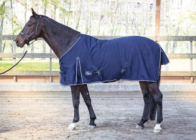 Chemise d'été Honeycomb - Harry's Horse - Poly/Coton
