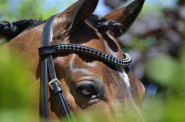Frontal en strass noir