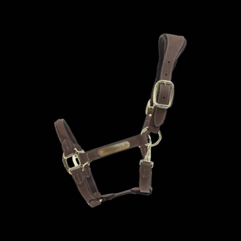 Licol anatomique en suédine - Kentucky - Cuir artificiel