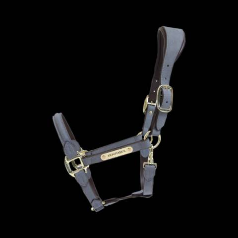 Licol anatomique en suédine - Kentucky - Cuir artificiel