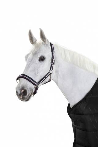 Licol ethologique Basics - Eskadron - Nylon