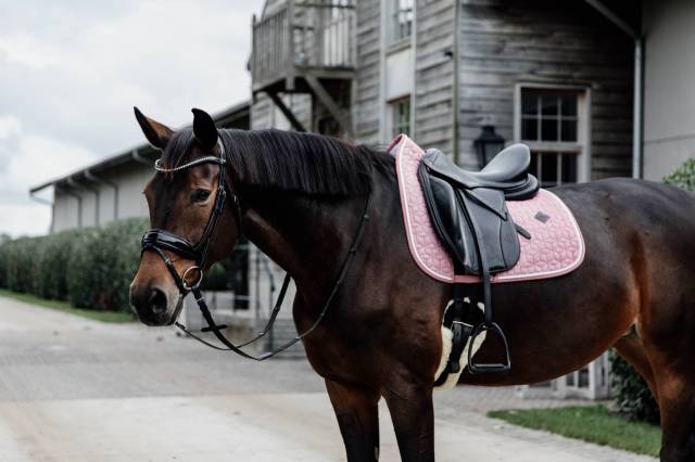 Tapis de selle Wool - Kentucky - Matelassage en étoiles