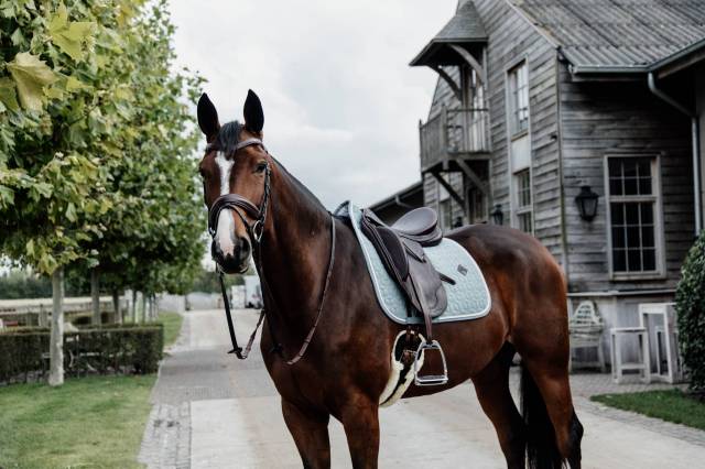 Tapis de selle Wool - Kentucky - Matelassage en étoiles