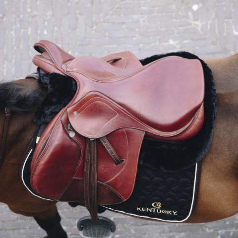 Amortisseur Sheepskin Anatomic Absorb - Kentucky