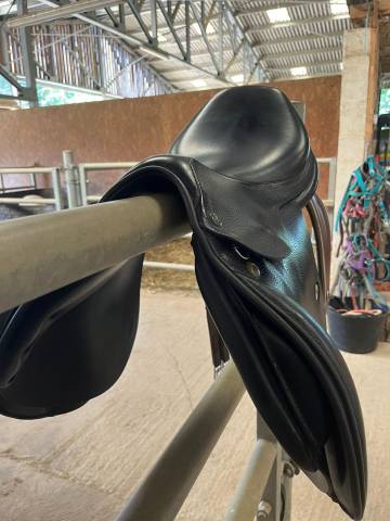 Selle Prestige Golden Star