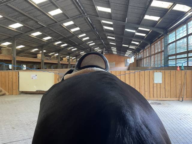 Selle dressage  Childeric finition Swarovski 