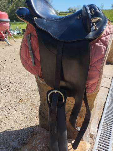 Selle australienne 