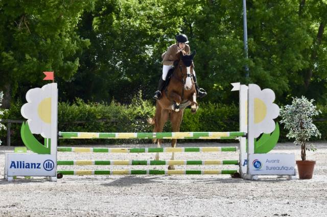 Hongre par candy de nantuel x ivor d'helby