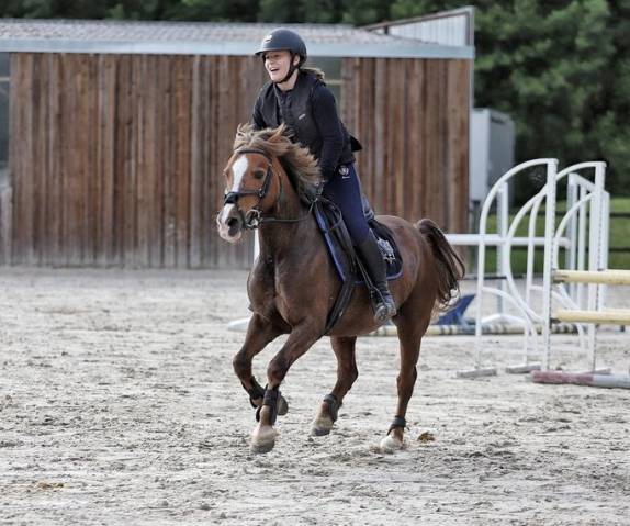 Ponette welsh pony 17 ans 