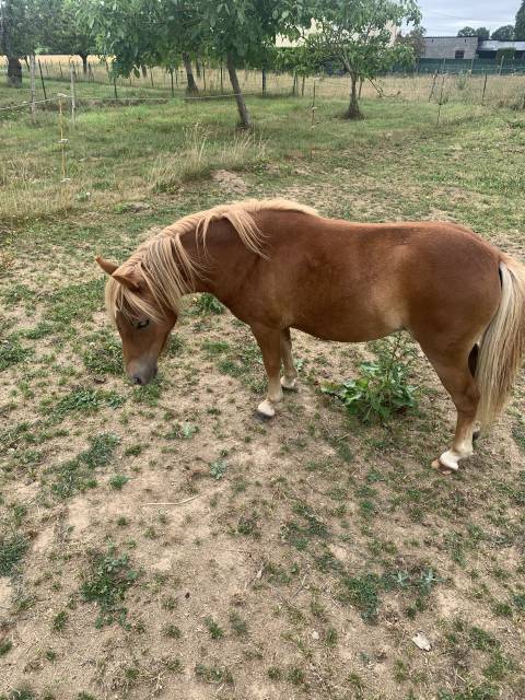 PONETTE 1 AN