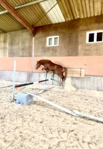 À vendre 