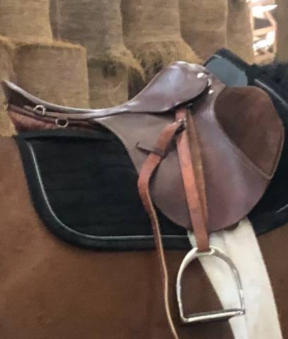 Selle mixte cheval 