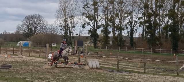 Ponette ONC irlandaise 