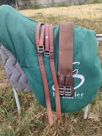 Selle Forestier Bockelo 18'